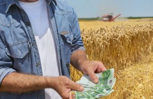 Direktna plaćanja u poljoprivredi