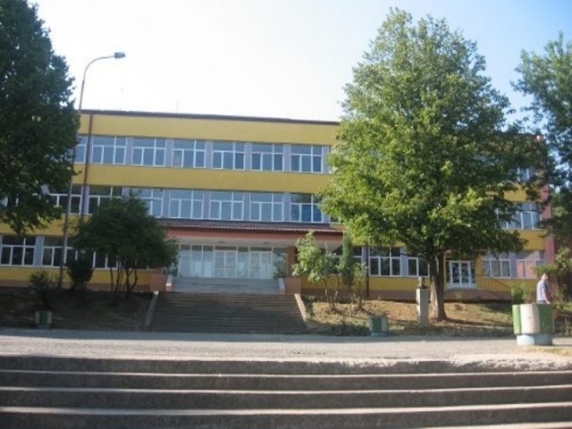 osnovna-skola-branko-radicevic-vladicin-han-slika-skole