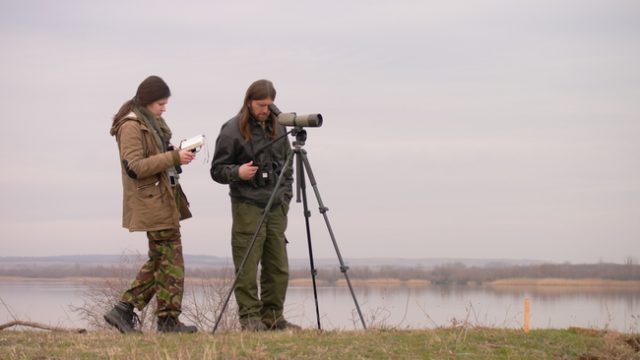 Auror-Emanuel-Veverica