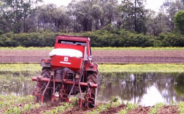 poljoprivreda-kisa-blato-poplave