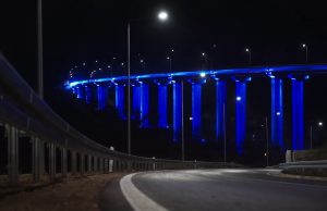 Divlje svinje šetaju gradom (Video)